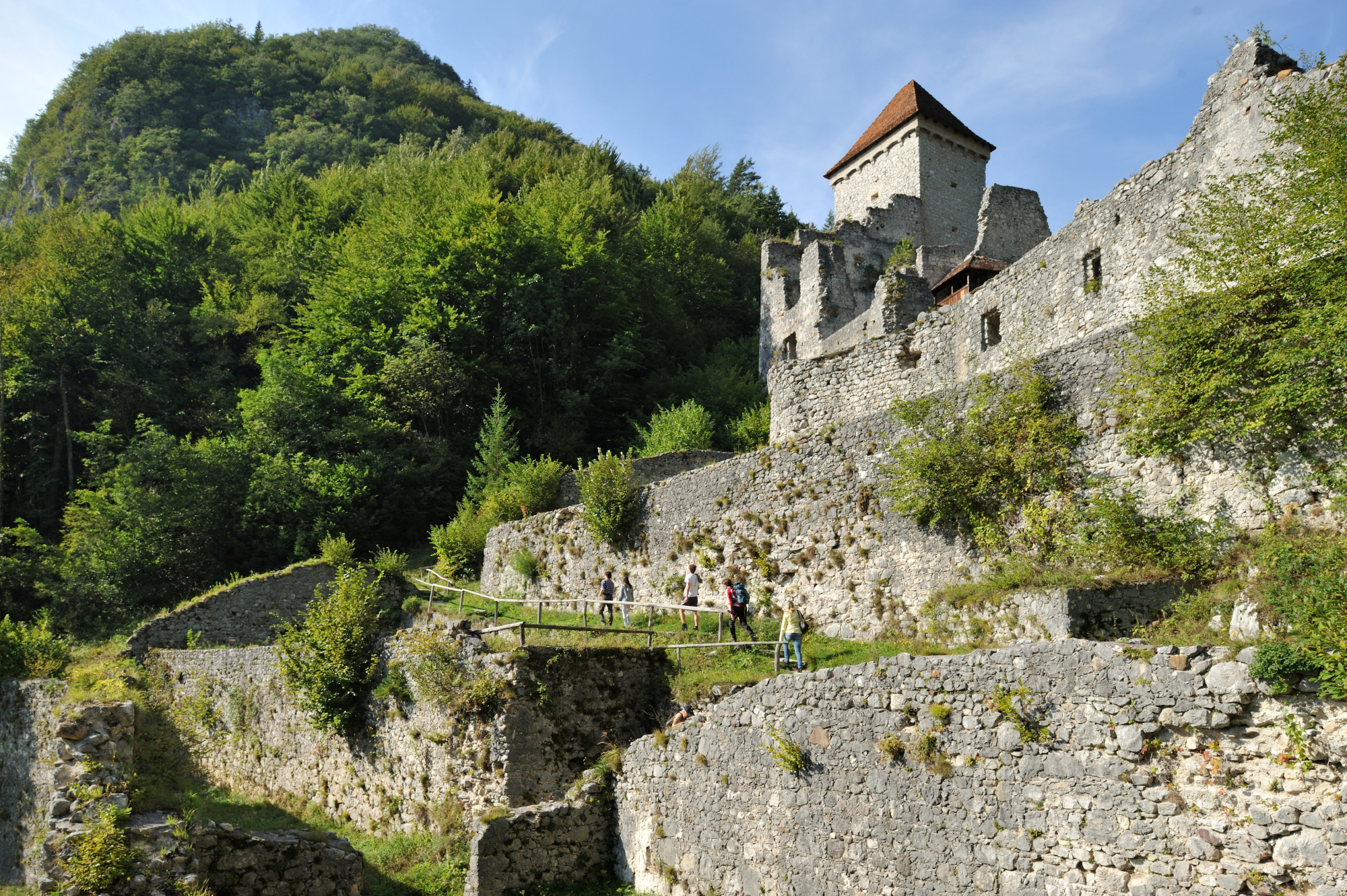 Miran Kambič, Grad Kamen pri Begunjah